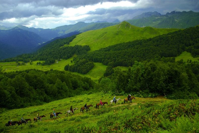 Альпийские луга - красоты Абхазии