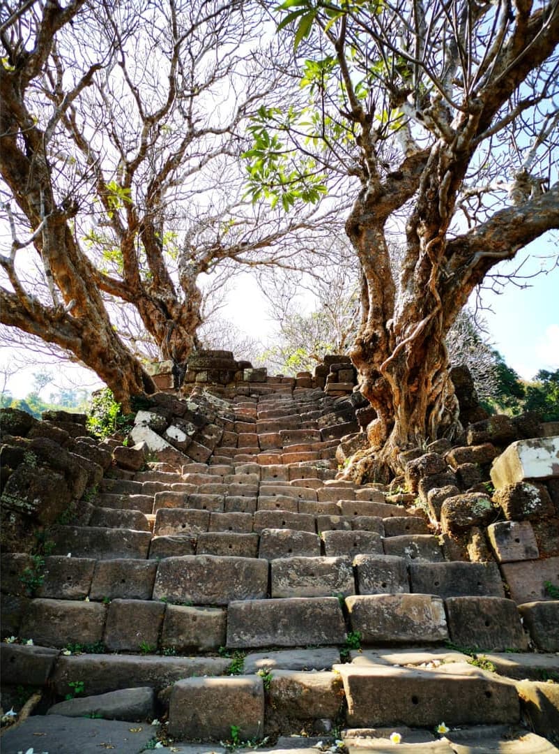 Лестница храма Ват Пху 